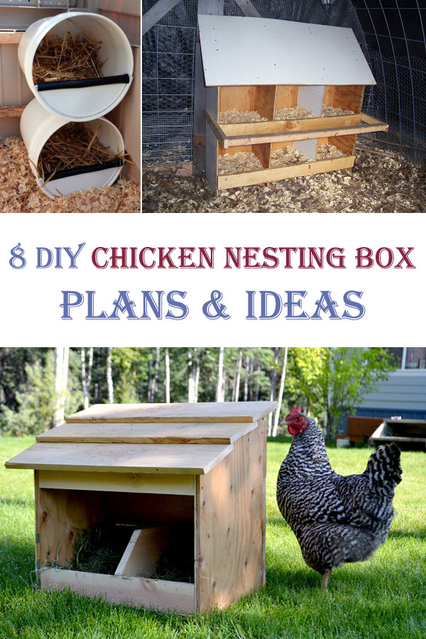 8 DIY Chicken Nesting Box Plans and Ideas