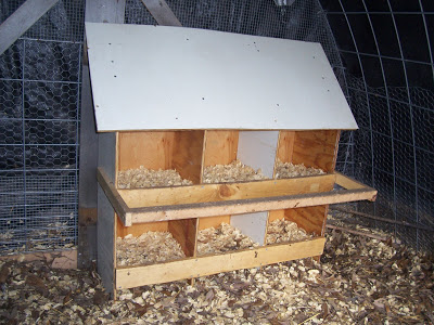 DIY 6 Bay Nest Box Out of Scrap Wood