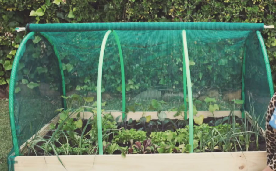 DIY Greenhouse Made of Hula-Hoops