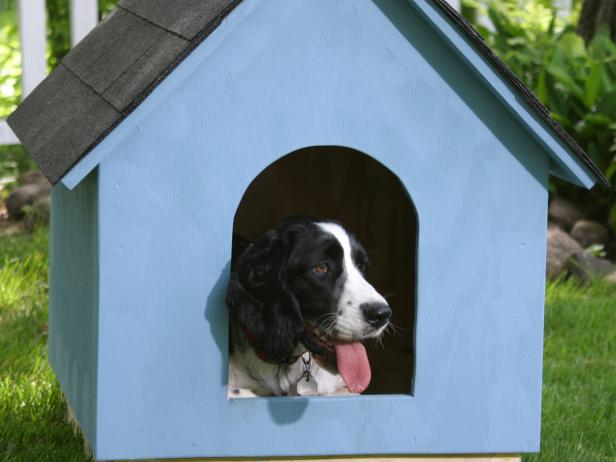 DIY Simple Doghouse From DIY Network