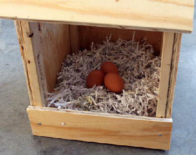 DIY Simple Nest Box