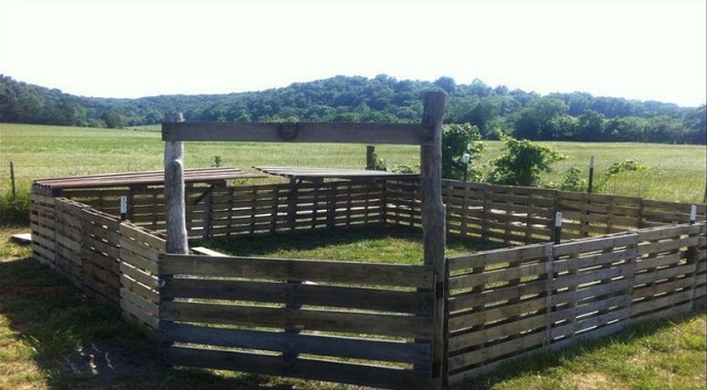 Pallet Fence for Pigs or Goats
